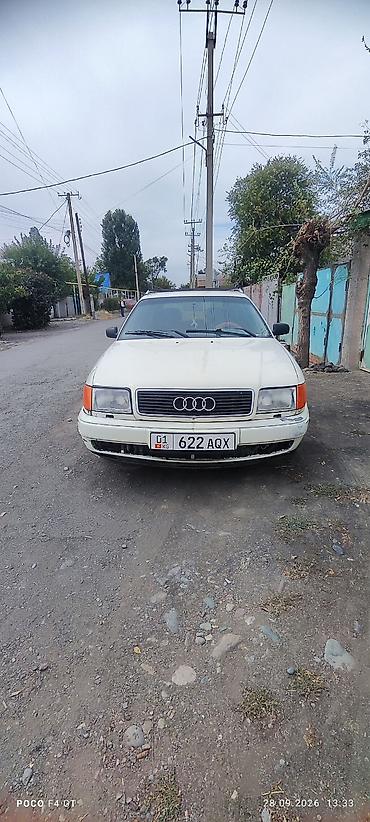 калисо ауди: Audi 100: 1996 г. — 6