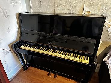 Pianolar: Oktava Pianino — 4