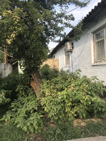 ������������ �������������� ������������ в Кыргызстан: 110 кв. м, 3 комнаты
