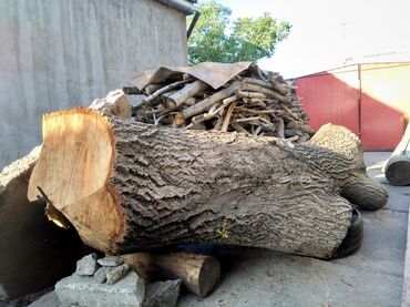 дрова в токмоке: Дрова Самовывоз