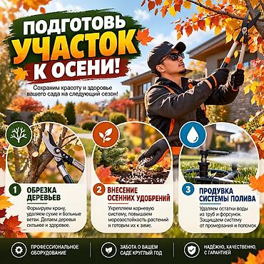 Осенняя подготовка сада и участка под ключ Что делаем: -