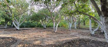 Продажа участков: 10 соток — 15