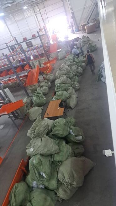 официант в ресторан: Сортировкага Балдар Кыздар керек