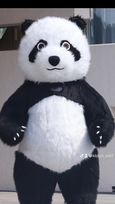Oyuncaqlar: Havalandirilmiş panda
spi̇derman-120manat
kloun hədi̇yyə olacak