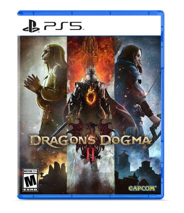 игры на ps 2: Dragon's Dogma — это однопользовательская ролевая игра, где игрок