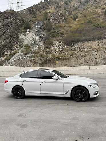 BMW 530: 2019 г., 2 л, Автомат, Бензин, Седан