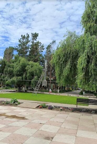 ищу работу отель: Талап кылынат Үй кызматкери, Төлөм Күн сайын