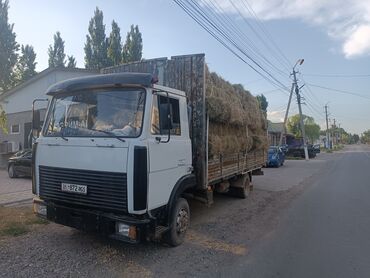 водовоз сатылат: Жүк ташуучу унаа, Колдонулган