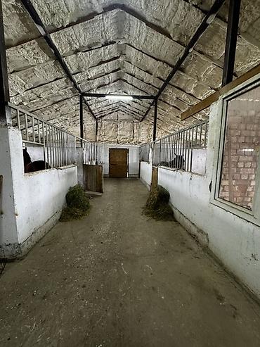 Продажа сельхоз предприятий: Конюшня/стабиль с утеплением и вспомогательными помещениями Описание — 6