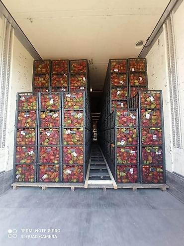 Упаковочные товары: Ящик, Новый — 5