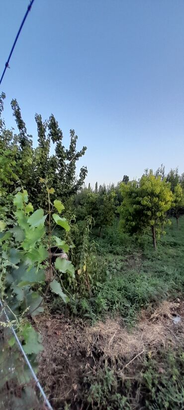 Həyət evləri və villaların satışı: 6 otaqlı, 270 kv. m, Yeni təmirli — 8