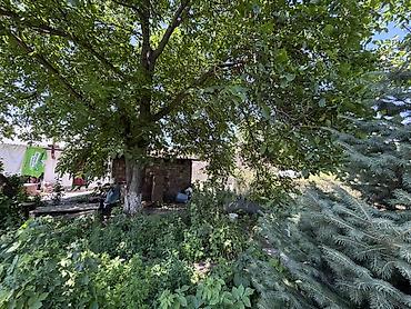 Жер тилкелери: 9 соток — 5