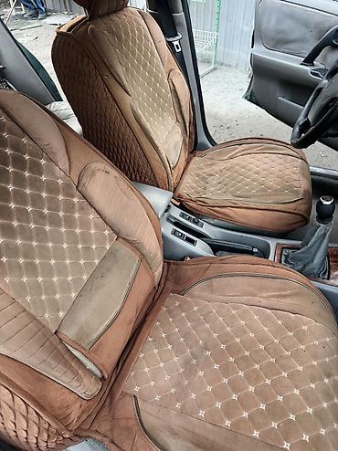 Nissan: Nissan Primera: 2000 г., 2 л, Ручные, Бензин — 11