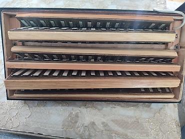 Akkordeonlar: Akustik Akkordeon — 7