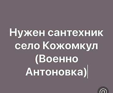 работа аламидин 1: Требуется сантехник — село Кожомкул (Военно-Антоновка). Задачи: - — 1
