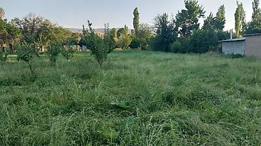скупка земли: 8 соток, Для строительства — 3