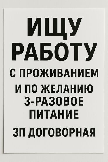 работа дордой продавец: Объявление: Ищу работу с проживанием. По желанию предоставляется