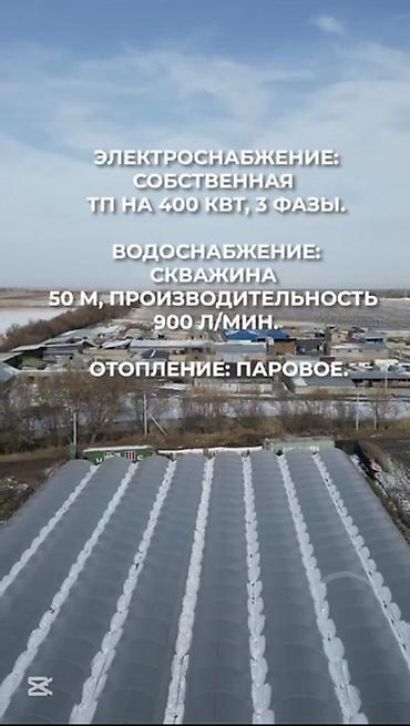 кантейнер 40 т: Күнөскана, 135 соток, Иштебеген, Жабдуулары менен — 5