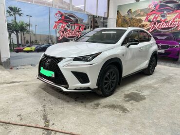Lexus: Lexus NX: 2019 г., 2.5 л, Автомат, Бензин, Внедорожник