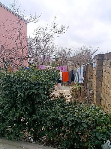 Həyət evləri və villalar: Həyətyanı sahəsi olan yaşayış evi həyəti və köməkçi tikililərlə - — 1