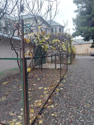 Həyət evləri və villaların satışı: 8 otaq, 360 kv. m — 5