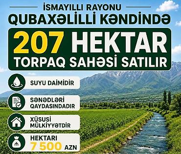 goradil torpaq: İsmayıllı rayonu Qubaxəlilli kəndində 207 hektar torpaq sahəsi satılır — 1