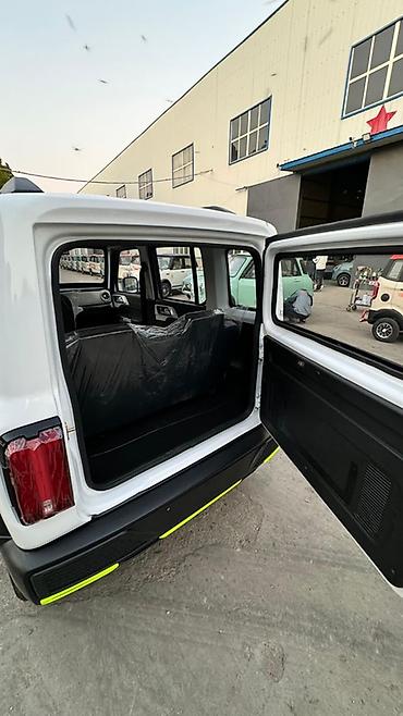 Microcar: Microcar : 2026 г., Электромобиль, Внедорожник — 6