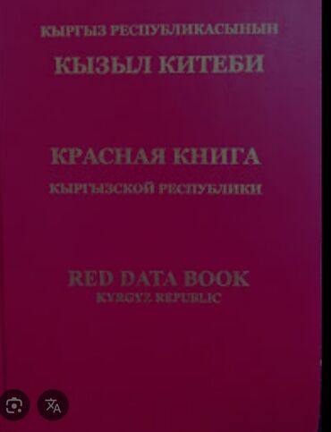 продаю дом каракол квартира: 6 соток, Для строительства, Красная книга