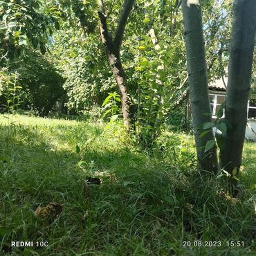 Torpaq sahələrinin satışı: 25 sot, Kupça (Çıxarış) -da lalafo.az — 10 Torpaq sahələrinin satışı: 25 sot, Kupça (Çıxarış) — 10