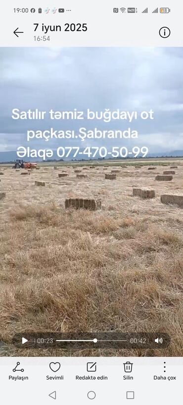 imişli yemi: Təmiz buğdayı ot paçkaları satılır. Şabran ərazisində yerləşir. Əlaqə