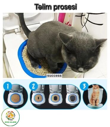 Bio-tualetlər və doldurucular: Pişiklər üçün tualet tərbiyəsi. Bu məhsulumuzla artıq sevimli — 6