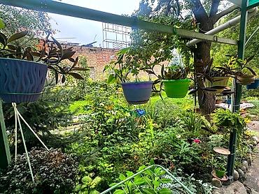 Продажа коттеджей и домов: Продаётся дом. (красная книга+тех.паспорт в наличии) Собственник! В — 13