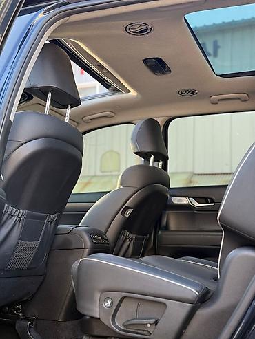 Hyundai: Hyundai Palisade: 2020 г., 2.2 л, Дизель — 12