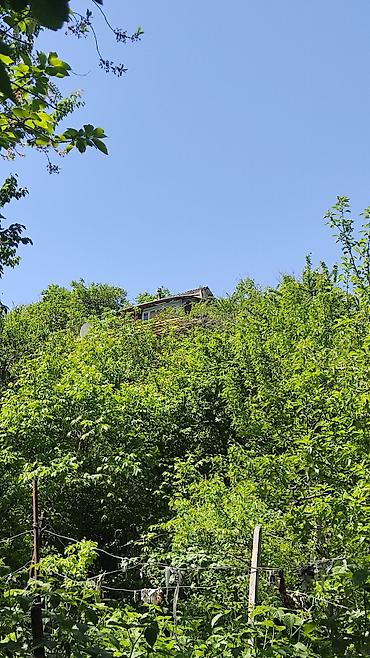 Продажа участков: 6 соток, Для бизнеса, Красная книга, Тех паспорт, Договор купли-продажи — 16