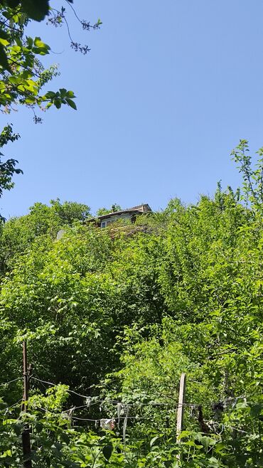 купить дачу в горах: Дача, 25 кв. м, 2 бөлмө, Менчик ээси, Эски ремонт