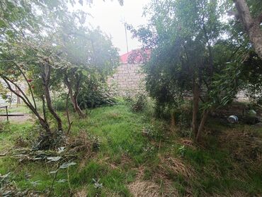 Torpaq sahələrinin satışı: 2 sot, Biznes üçün, Mülkiyyətçi — 3