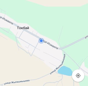 яндекс станция макс бишкек: Отображение цифровой карты с указанием улиц «Токбай», «Исмаила» и