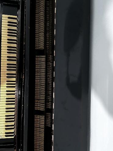 Pianolar: Piano, Akustik — 6