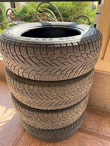 225 55 17: Комплект зимних шин Nokian Tyres WR SUV 4 - Размер: 225/65 R17 - — 1