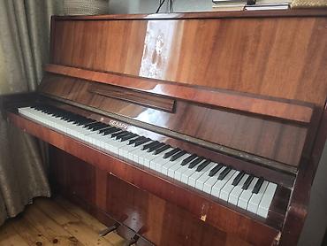 Piano, Belarus, Akustik, İşlənmiş