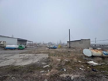 контейнеры: 100 соток, Договор купли-продажи — 10