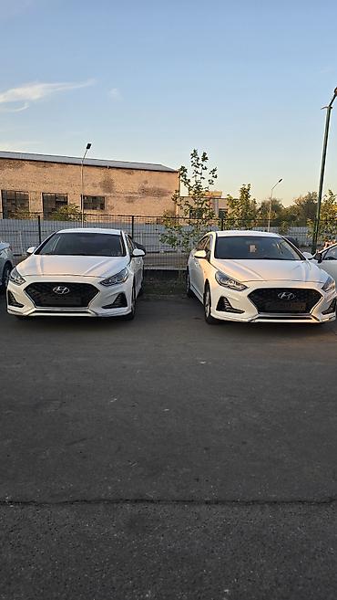 Hyundai Sonata: 2020 г., 2 л, Автомат, Газ, Седан