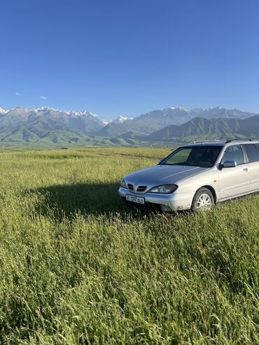 nissan минивен: Nissan Primera: 2001 г., 2 л, Вариатор, Бензин, Универсал