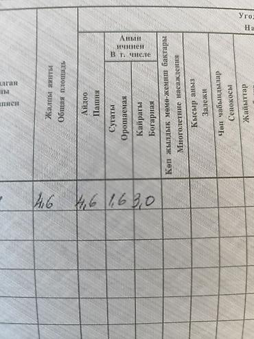 поля земли: 3 соток — 4