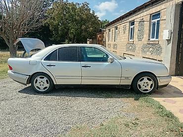 maşın sat.az: Mercedes dögöz v210 — 2