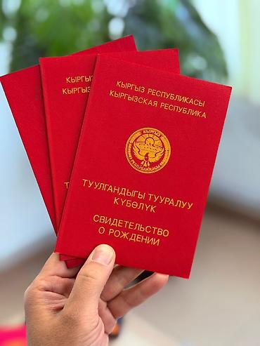 Услуги переводчика: Услуги переводчика — 11