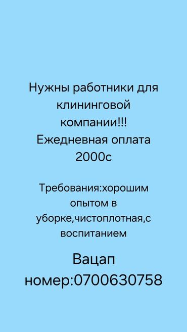 Другие специальности: Требуется клинеры,возраст от 20-40