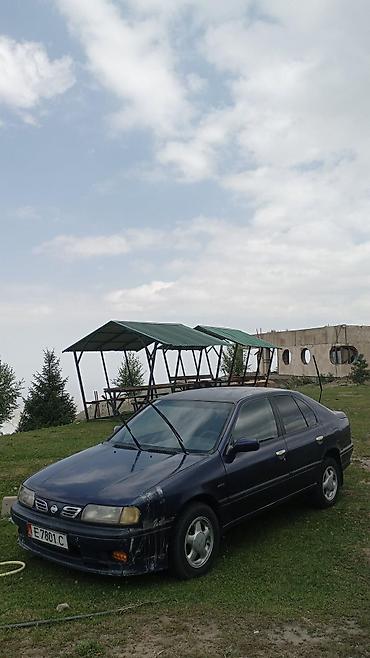 maxima j30: Nissan Primera: 1996 г., 1.6 л, Механика, Седан — 1