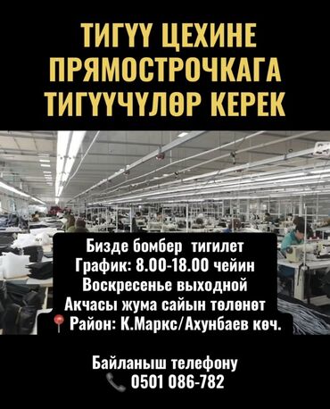 муз апаратура: Швея Прямострочка