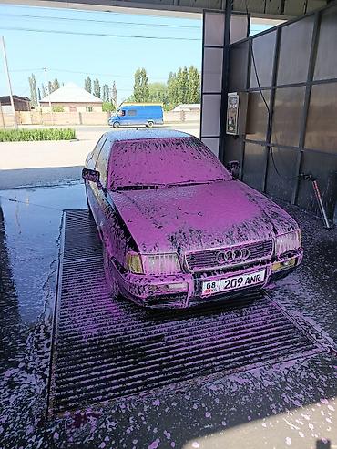 Audi: Audi 100: 1992 г., Седан — 6